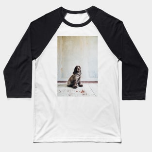 Cocker Spaniel Sitting in Shabby Apartment Baseball T-Shirt